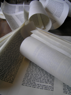 Sheets of Torah, pre-sewing
